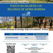 Puesta en valor de los recursos de Sierra Morena: Camino Mozárabe de Santiago. Etapa Cerro Muriano - El Vacar