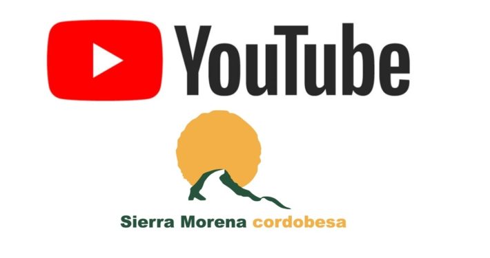 Canal Youtube TVSierraMorena